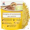 Ani'Nat NATURE ANIMALE AniNat Alimento starter per pulcini, Cibo 1 ° età con vitamine, proteine e minerali, oli essenziali. Adatto fin dalla nascita. (1,8 kg) (1800 grammi)