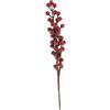 com-four® 20x rami decorativi con coni di larice, bacche rosse e