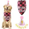 Amaxiu Set per Festa di Compleanno per Cani - Cappello Glitterato e Bandana Scozzese con 8 Numeri Luccicanti per Animali Domestici di Taglia Piccola