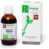 Fitomedical SALICE AMENTI MACERATO GLICERICO 50 ML BIO
