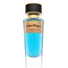 Salvatore Ferragamo E Pur Si Muove Eau de Parfum unisex 100 ml