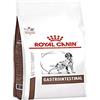 Royal Canin Veterinary Diet ROYAL CANIN Intestinal Gastro - dry dog food 15kg