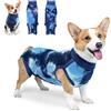 Grantop Body per Cani Dopo Castrazione e Intervento Chirurgico, Maglietta per Chirurgia (Legata a Dyed Blu, S)