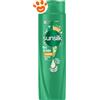 Sunsilk Shampoo Ricci da Sogno - Confezione Da 250 ml