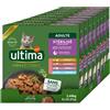 Ultima Wet Fit & Delicious - Cibo Umido per Gatti Sterilizzati Multipack Pollo-Tacchino-Salmone-Trota 8x (85g*8) - Total 64 bustine da 85g