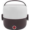 Zerodis Lunch Box Elettrico 250W, 2 Strati Lunch Box Riscaldante Scaldauova Scaldavivande Portatile Lunch Box Bento Lunch Box con Portauova al Vapore per Lavoro Ufficio Casa(Viola)