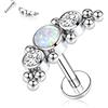 hengkaixuan 16G G23 Titanium Labret Studs Filettato internamente Lip Studs Flat Back Labret Tragus Piercing Monroe Medusa Lip Piercing Lobo Cartilagine Conch Orecchino Gioielli