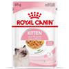 Royal Canin Kitten Instinctive Jelly Umido Per Gatti Bustina 12x85g Royal Canin Royal Canin