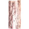 HAKU Möbel Appendiabiti da parete aspetto acciaio inox, motivo, Metallo, vetro di sicurezza - Dim. L 30 cm x A 70 cm x P 5 cm, Stile Moderno