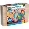 Lisciani Montessori work box