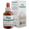 Forza Vitale Ecosol Fico composto gocce 50 ml