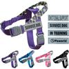 Paworld Pettorina per Cani, Imbracatura Cani, Imbracatura per Cani di Servizio Regolabile con 4 Toppini Riflettenti, Maniglia, per Attrezzatura di Addestramento e Corsa per Cani (Viola, S)
