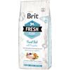Brit Fresh Adult Large Pesce con Zucca - Set %: 2 x 12 kg