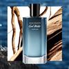 Davidoff Cool Water Parfum 50ML