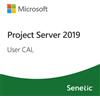 Microsoft Project Server 2019 User CAL