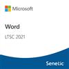 Microsoft Word LTSC 2021