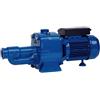 Speroni CAM/CA 200 - Pompa Bigirante - Monofase 230 Volt