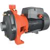 Leo Group Leo 2ACm / 2AC - Elettropompa Centrifuga Bigirante - Corpo Ghisa Girante Inox - 2ACm110 - Monofase 1,5 HP