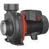 Leo Group Leo ACm / AC 3'' - Elettropompa Centrifuga Monogirante - ACm150B3 - Monofase 2 HP