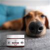 PETS PET Nose & Paw Balm / Balsamo per naso e zampe 75ml - Composizione 100% naturale