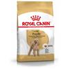 Royal Canin Breed Royal Canin Adult Barboncino cibo per cane 2 x 1,5 kg