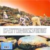 Led Zeppelin ‎- Houses Of The Holy Lp Vinile