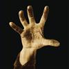 System Of A Down ‎- System Of A Down Lp Vinile