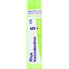 BOIRON Srl Rhus Toxicodendron 05Ch Tubo 80 Granuli 4g