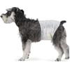 Amazon Basics Pannolini USA e Getta per Cani Maschi - M, Confezione da 50, Bianco