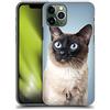 Head Case Designs Ritratto di Un Gatto Siamese Razze di Gatti Preferite Custodia Cover Dura per Parte Posteriore Compatibile con Apple iPhone 11 PRO