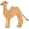Cucciolo di cammello Ostheimer