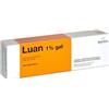 Luan 1% Gel Uso Chirurgico 100 g