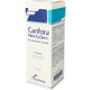 Canfora 10% Soluzione Cutanea 100ml