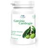 ALGEM GARCINIA CAMBOGIA 60 Compresse