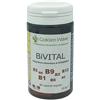 BIVITAL 60 CAPSULE