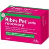 Ribes Pet Recovery 60 perle