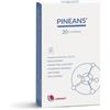 PINEANS 20 COMPRESSE