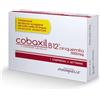 Cobaxil B12 cinquemila 5000mcg 5 Compresse Sublinguali