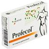 PROFECOL 20 COMPRESSE 18 G