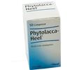Phytolacca -Heel 50 Compresse