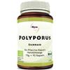 POLYPORUS 93 Capsule