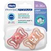 CH Succh.Light Girl Sil16-36m