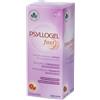 Psyllogel Fast 10 Stick Gusto Arance Rosse