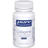 PURE ENCAPS Collagene 30Cps