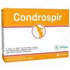 CONDROSPIR 14 Bust.