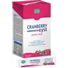 ESI CRANBERRY Cyst 16 pocket drink