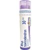 BOIRON Rhus toxicodendron 30 CH 80 Granuli