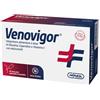 AMNOL Venovigor 20 Bustine Stick Pack