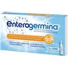 Enterogermina 4 Miliardi 10 Flaconcini