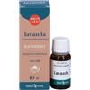 Erba Vita Lavanda Olio Essenziale 10ml